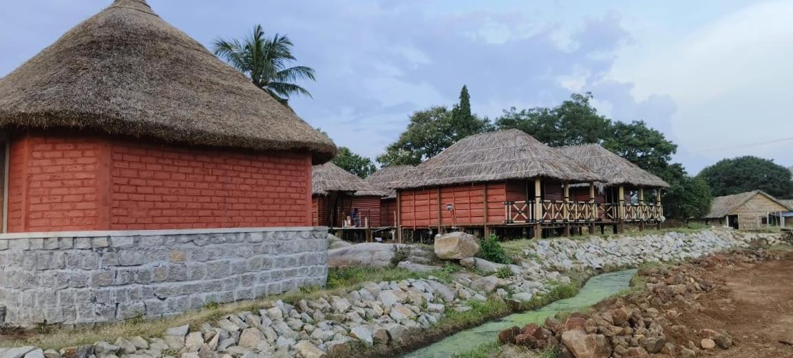 Golden Chariot Resort ハンピ エクステリア 写真