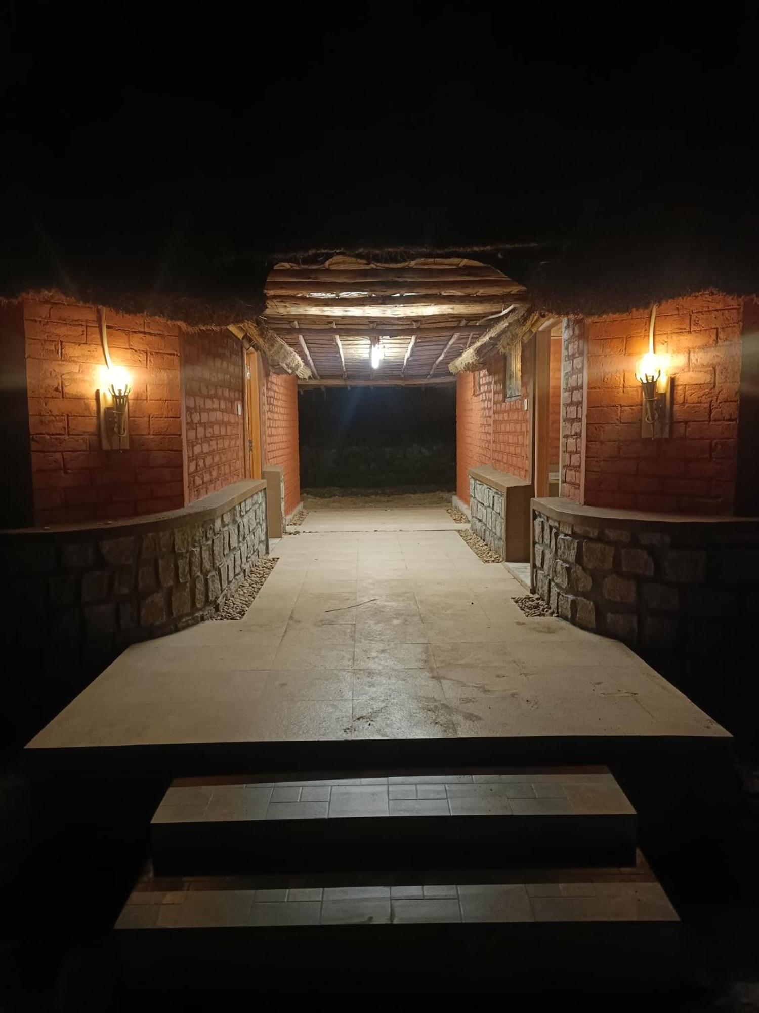 Golden Chariot Resort ハンピ エクステリア 写真